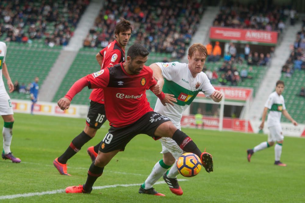 Elche - Mallorca