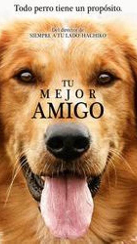 Tu mejor amigo