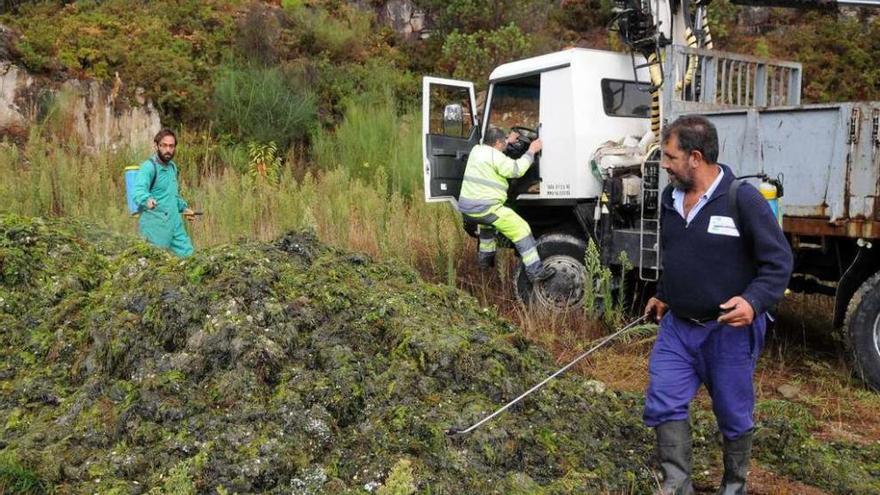 Una de las plantas, ubicada en Ponteareas, ya trata algas recogidas en la ría. // G. Santos