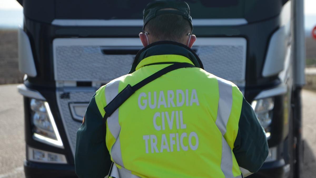 La Guardia Civil interceptó al camionero en Benavente tras conduccir por la A-6 en zig-zag y golpenado la bionda durante 18 kilómetros.
