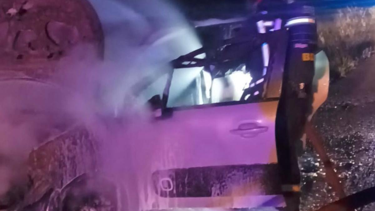 Accidente de tráfico con jabalí