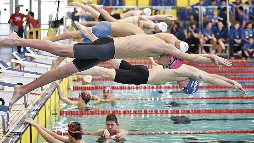 La tercera edición del Trofeu Ciutat de Palma se celebró el sábado en la piscina de Son Hugo bajo la organización del CN Voltor Balear.