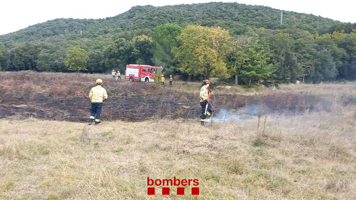 Els bombers en el camp de Darnius.