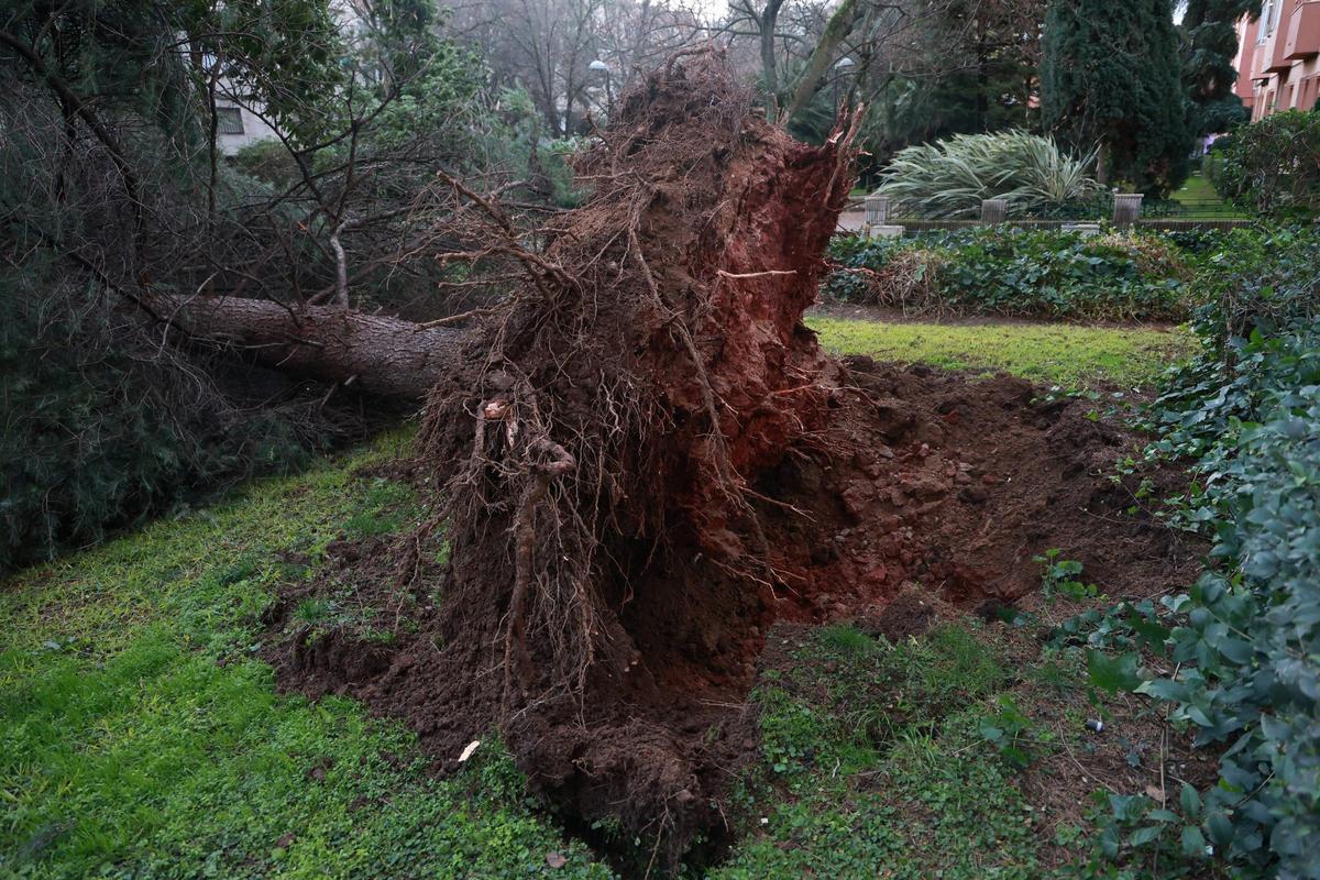 El drama de Médco Sorapán: la borrasca en Cáceres El drama de Médco Sorapán: la borrasca en Cáceres