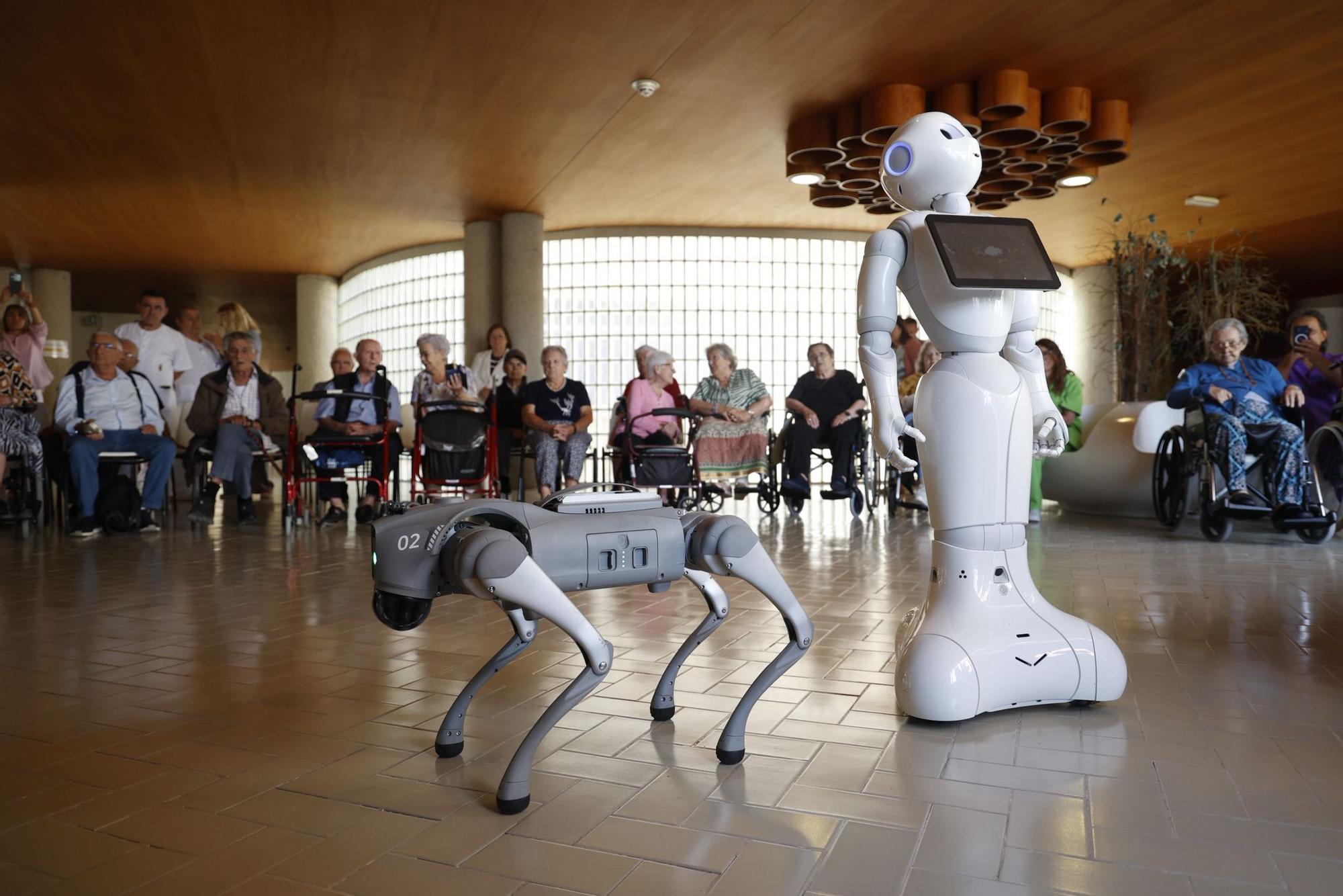 Un humanoide y un perro robot en el Hogar Provincial de Alicante