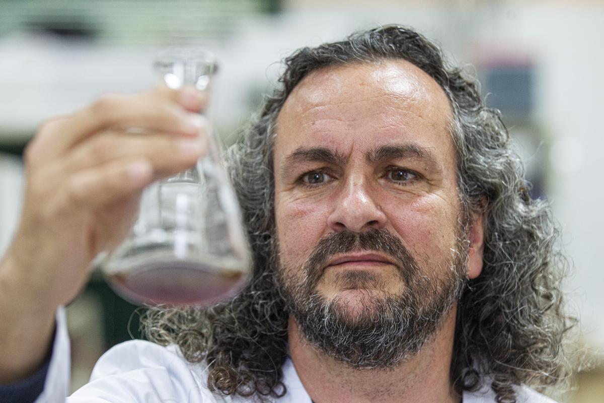 El catedrático Andrés Fullana en el laboratorio de Ingeniería Química en la UA