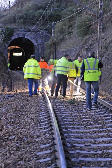 Descarrila un tren de mercancías en Lena