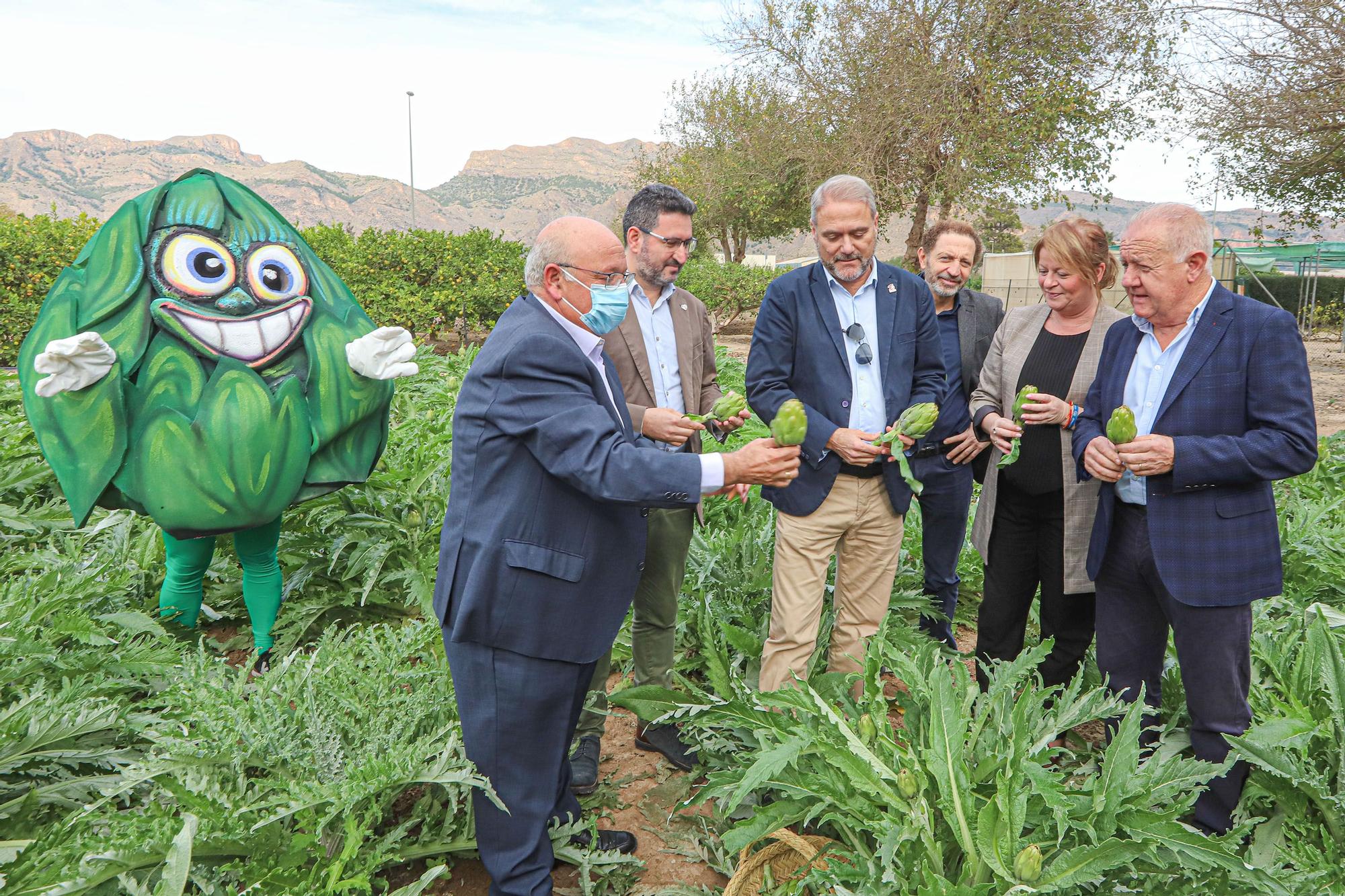 Primer corte de la temporada de alcachofas en la EPSO