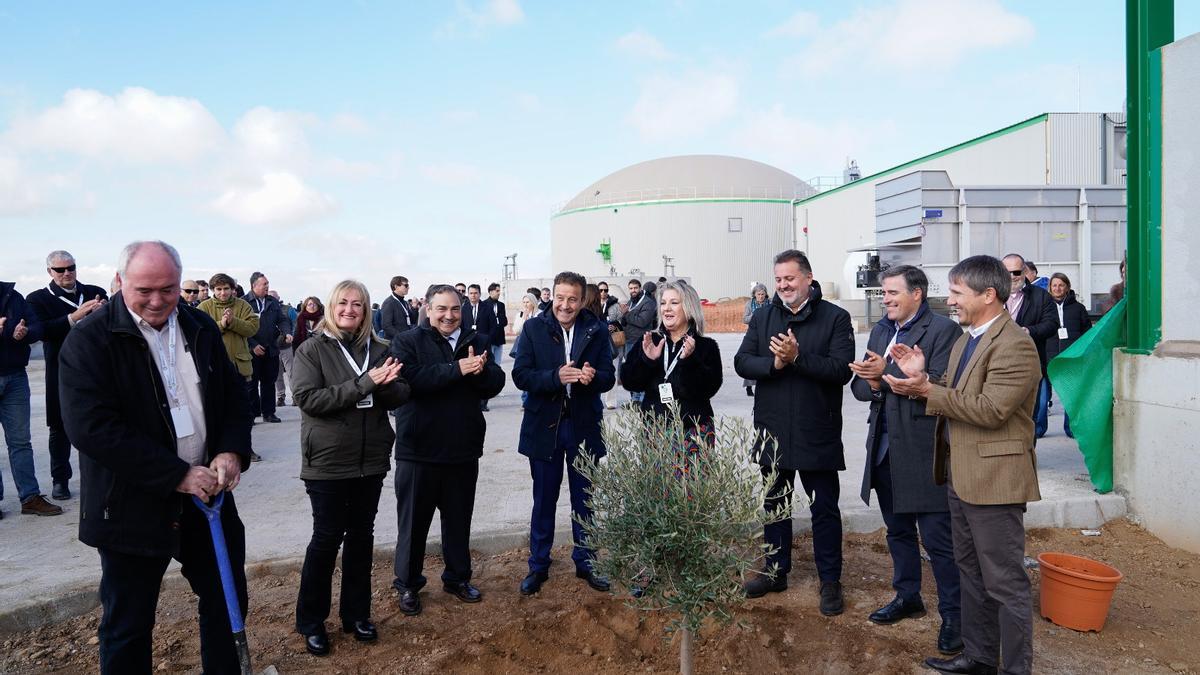Plantación de un olivo durante la inauguración de la nueva planta de ARG Biogás en Andalucía