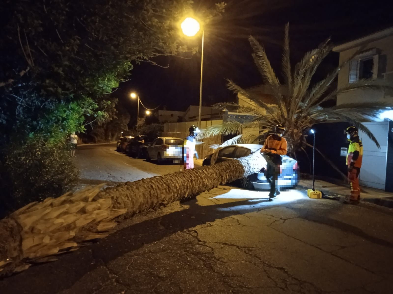 Una palmera se desploma sobre un coche en Marzagán