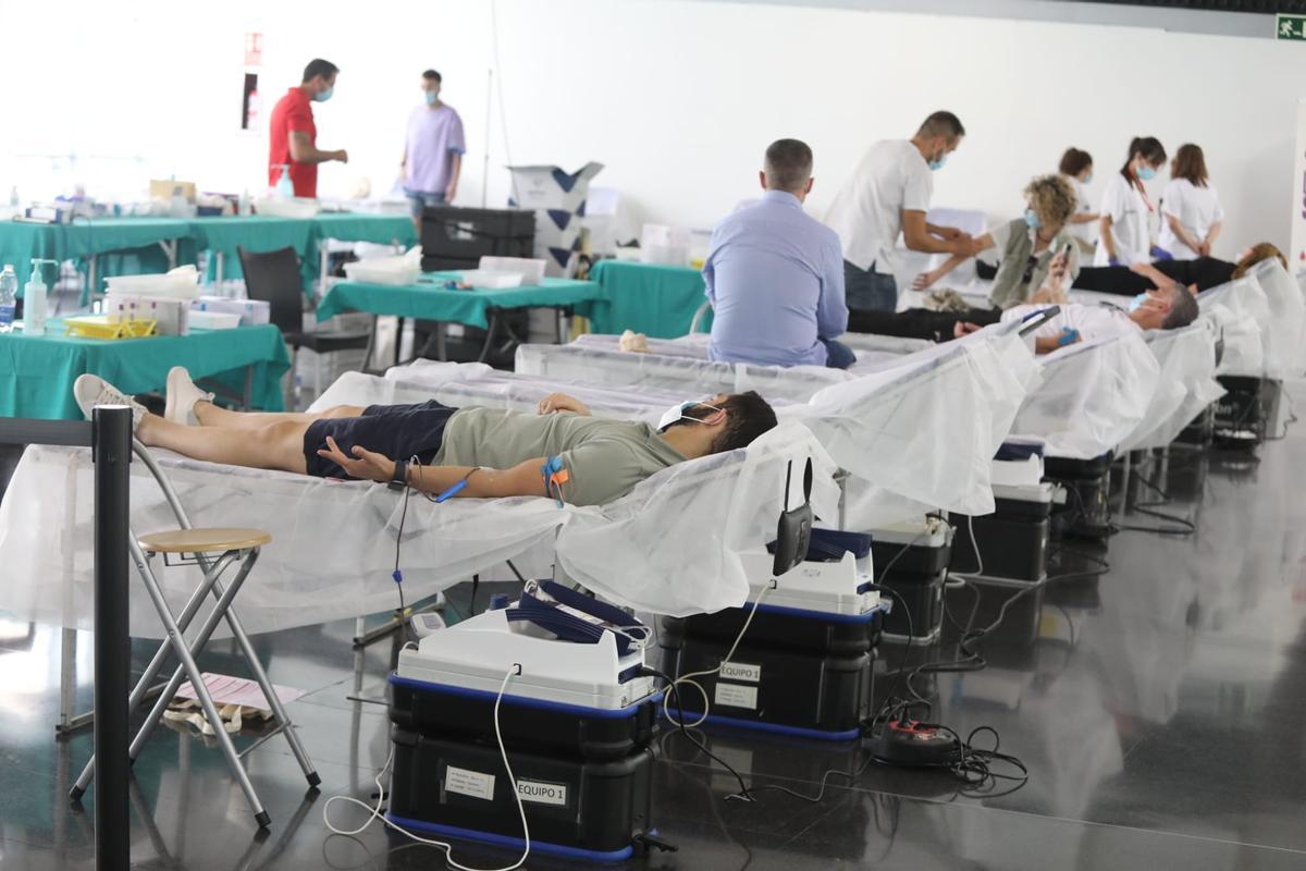 Varias personas permanecen en las camillas mientras donan sangre en el Centro de Congresos de Elche.