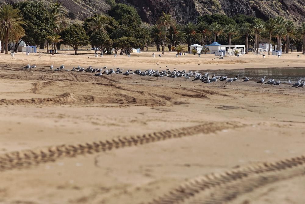 Paseo por Santa Cruz, Puerto y varios del litoral