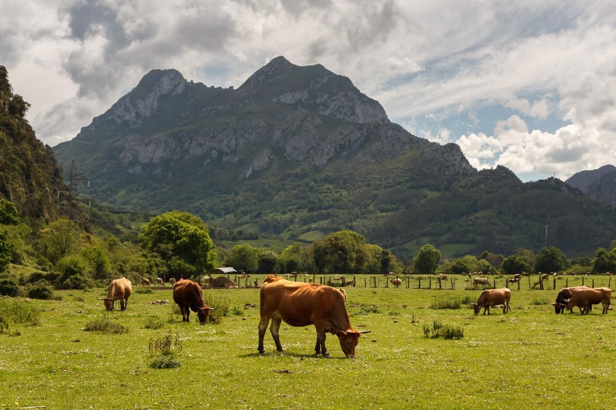 El valle de Proaza