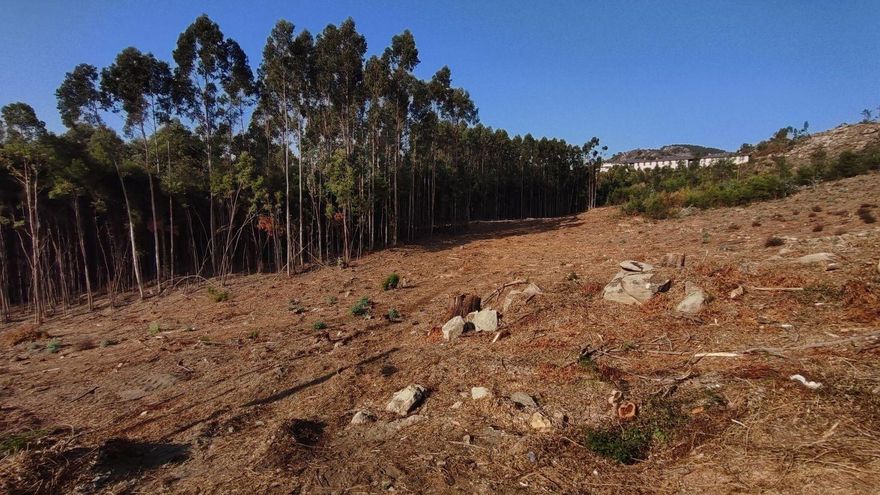 Las denuncias por incumplir el plan contra incendios desbordan al Concello de Cangas