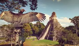 Tikal, la “Nueva York maya” escondida bajo la selva guatemalteca