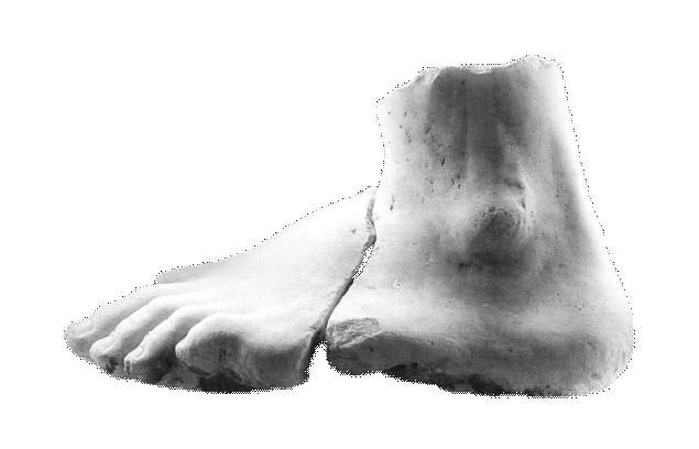 Pie y tobillo izquierdo. 28,5 cm de largo.Pie izquierdo, masculino, descalzo, de mayor tamaño que el natural, en dos fragmentos (tobillo y pie).Talla cuidada de las extremidades. Los cuatro dedos conservados muestran una talla muy cuidada.