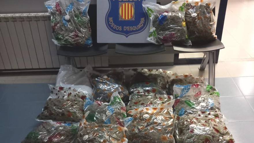 A presó dos homes detinguts a Alp per portar 22 quilos de marihuana al cotxe