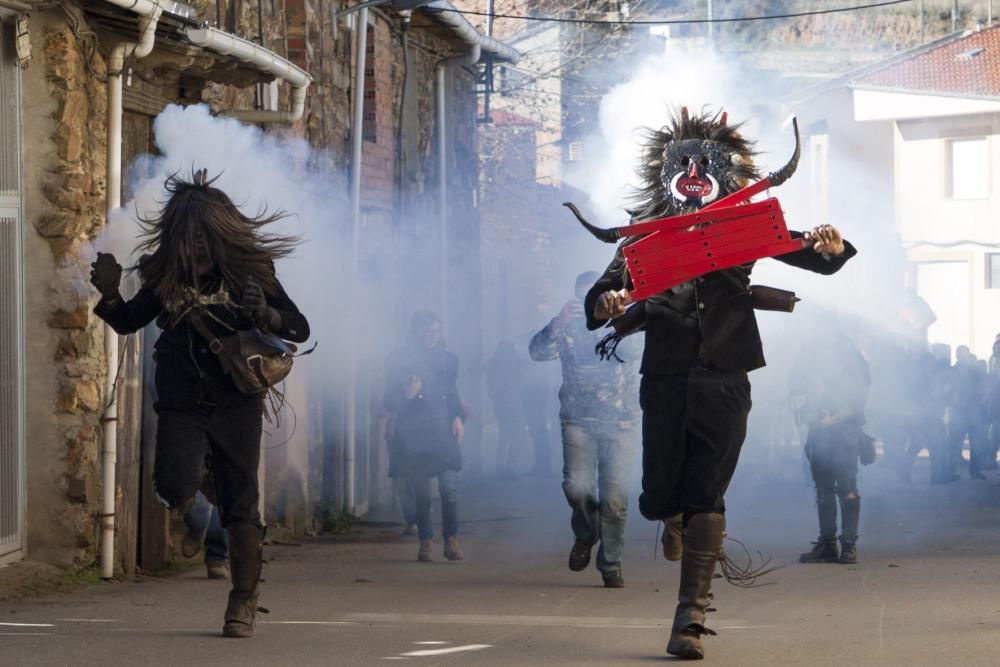 Carochos de Riofrío 2019