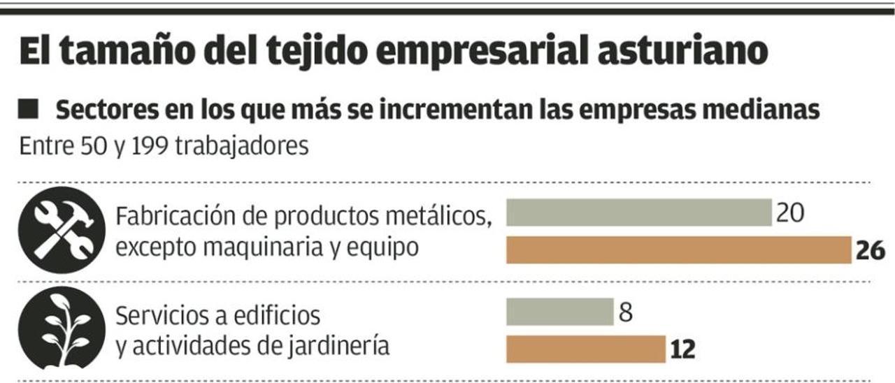 Repunta el número de empresas medianas en la región, clave para la recuperación