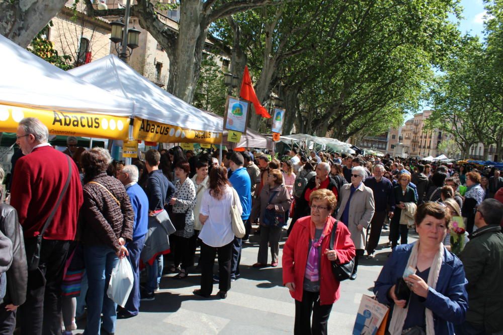 Sant Jordi 2016