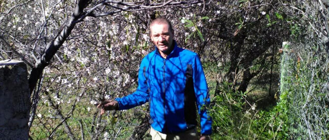 José Juan López Navarro, secretario de la Asociación de la Almendra de Gran Canaria, ayer en Tejeda.