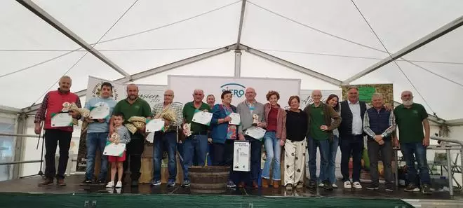 En imágenes, el concurso de sidra casera de Agrosiero