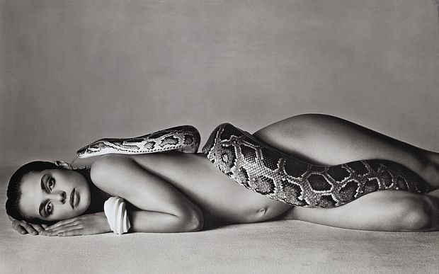 Fotografías de Richard Avedon