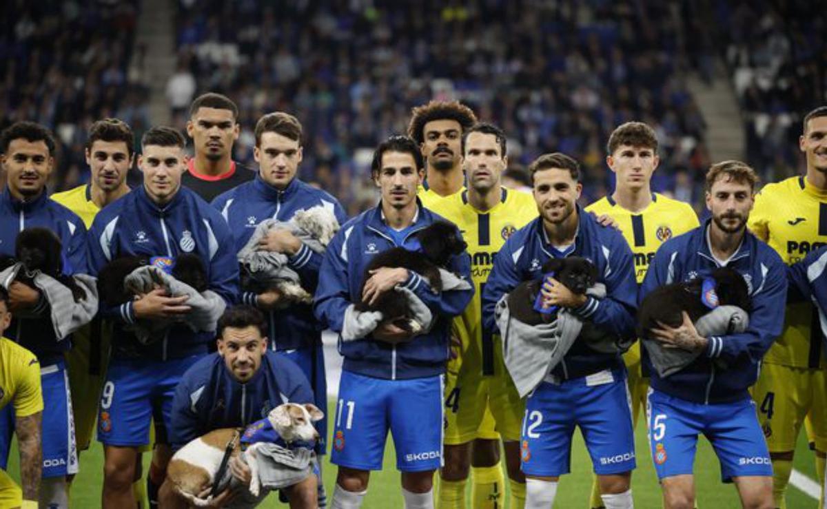 Adopta gossos, però ensenya-me’ls