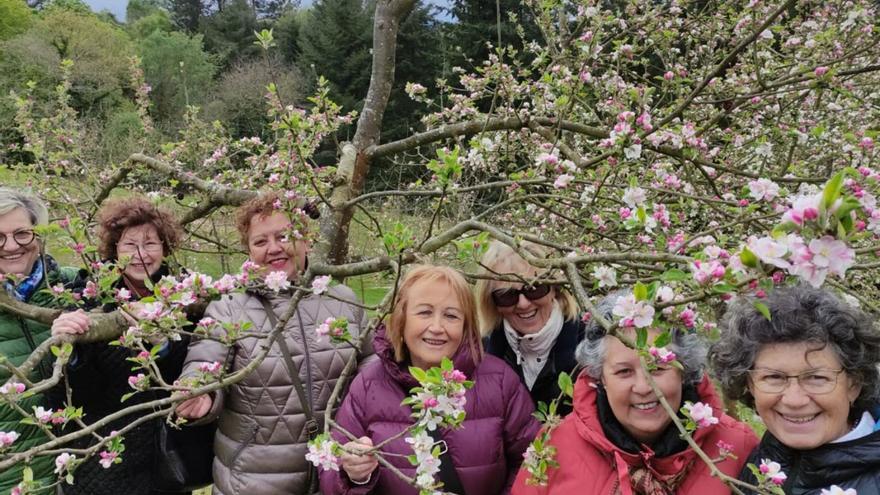 La floración del manzano impresiona en la Comarca de la Sidra