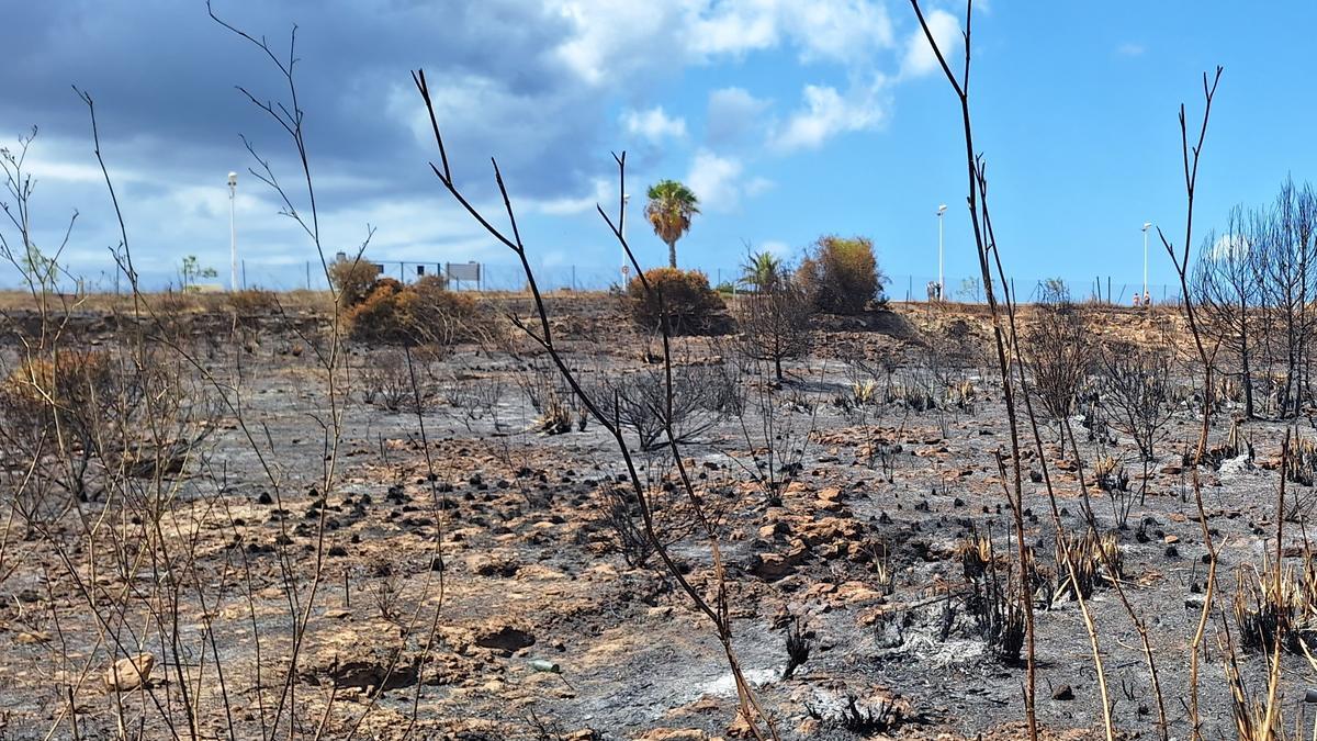 El incendio en los Banys de la Reina de Calp el pasado 6 de agosto.