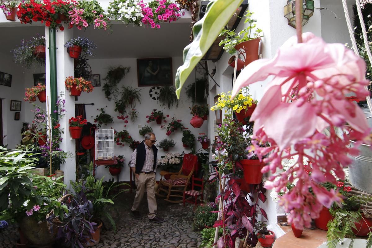 Paseando por los patios de la San Lorenzo y San Rafael