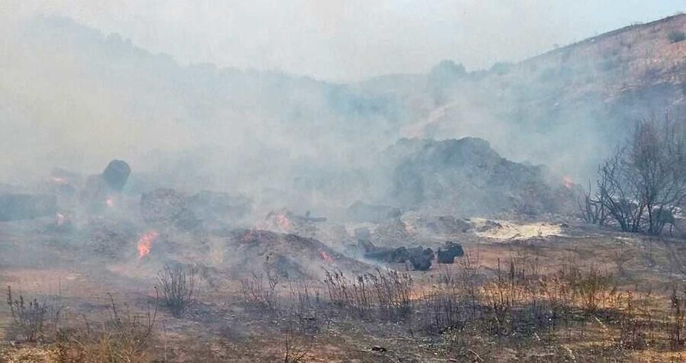 Am Freitag (5.8.) kurz nach 11 Uhr wurde ein Feuer im Gebiet von Sant Agustí im Stadtbezirk von Palma gemeldet. Der Brand war gegen 12.30 Uhr unter Kontrolle, nachdem er eine Fläche von 0,7 Hektar Kiefernwald zerstört hatte.