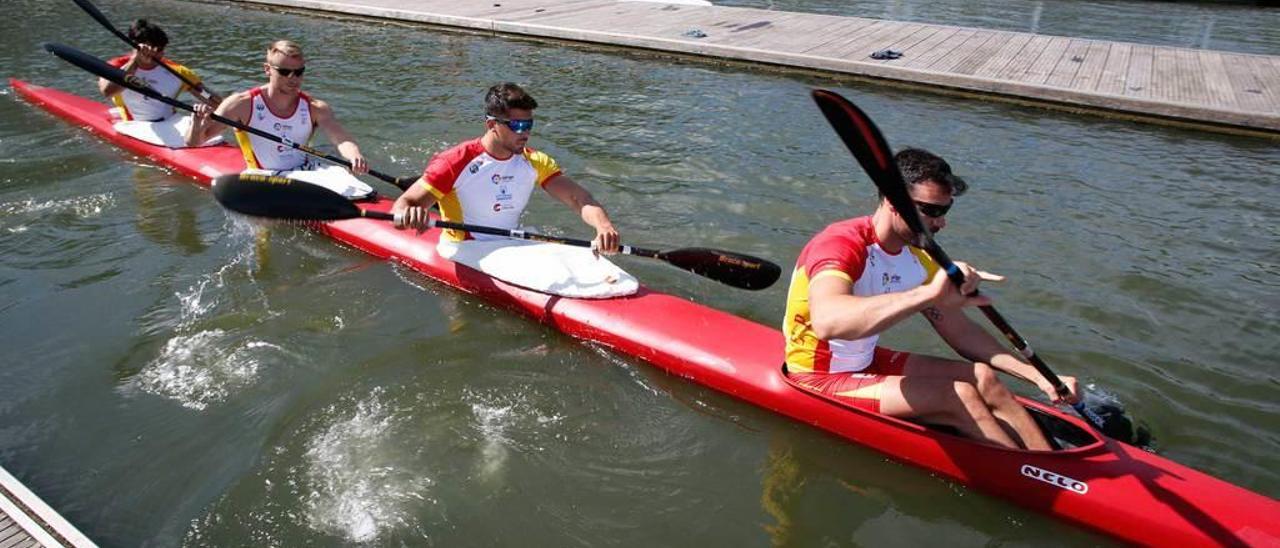 Los piragüistas Saúl Craviotto, Cristian Toro, Marcus Cooper y Rodrigo Germade, durante un entrenamiento del equipo nacional en el embalse de Trasona el pasado verano.