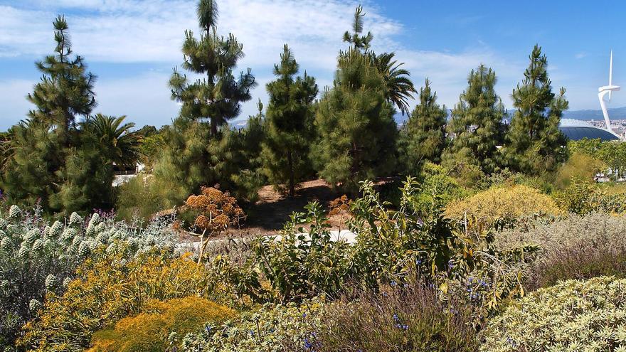 Oculto en un jardín secreto de Barcelona: así es el herbario con más historia de toda la península Ibérica