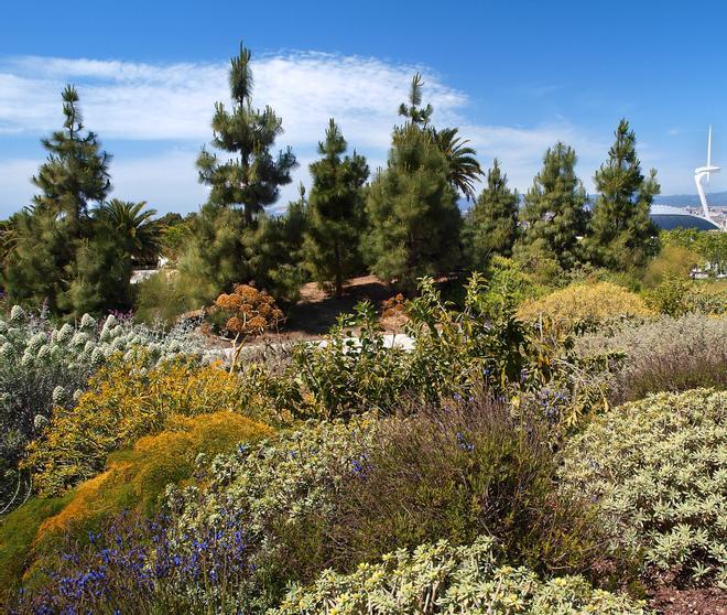 Oculto en un jardín secreto de Barcelona: así es el herbario con más historia de toda la península Ibérica