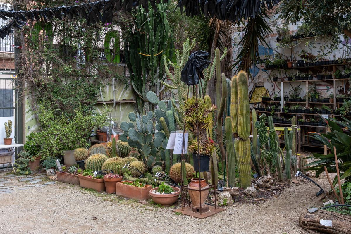 Reportaje sobre el Jardí del Silenci, espacio que controla una entidad de gente mayor y de la que dos colegios, que lo usan en alguna franja, piden un resideño adecuado para los niños
