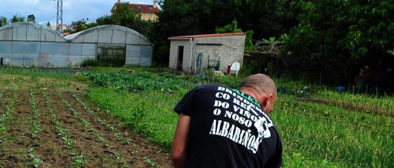 Un usuario de San Cibrán realiza trabajos agrícolas en una finca que gestiona Cáritas. // Iñaki Abella