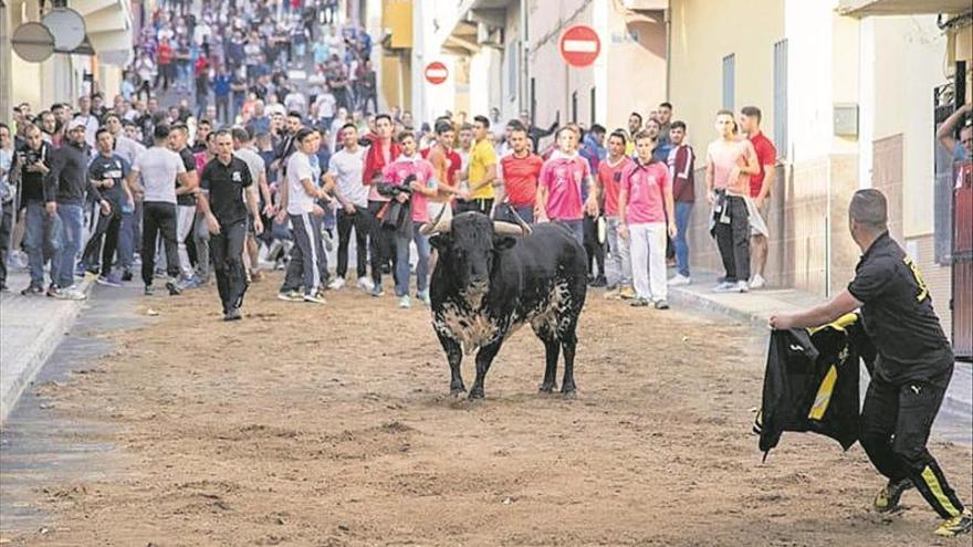 12 toros y Andy y Lucas para el medio siglo de fiestas del Cristo