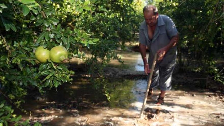 Imagen de archivo del campo de Elche utilizando el agua proveniente del trasvase Tajo-Segura.