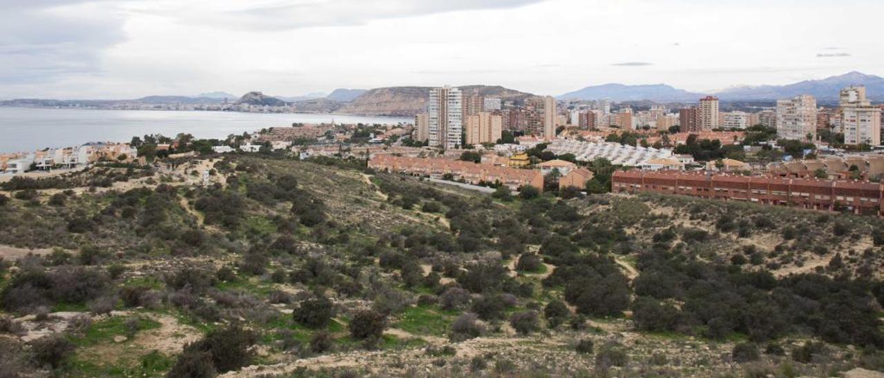 El Consell salva del ladrillo 360.000 m2  en el Cabo de  las Huertas