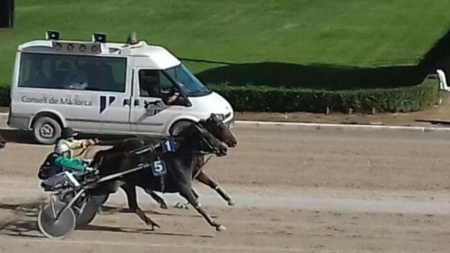 En la foto de los últimos 20 metros de carrera se contempla perfectamente como Joan Toni Riera impulsa a Diana Federique (5) para intentar ganar su carrera.