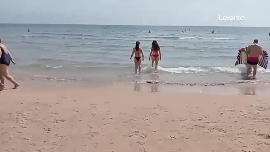 El buen tiempo llena la playa de Gandia a principios de junio: "Las condiciones son muy favorables para disfrutar del mar"