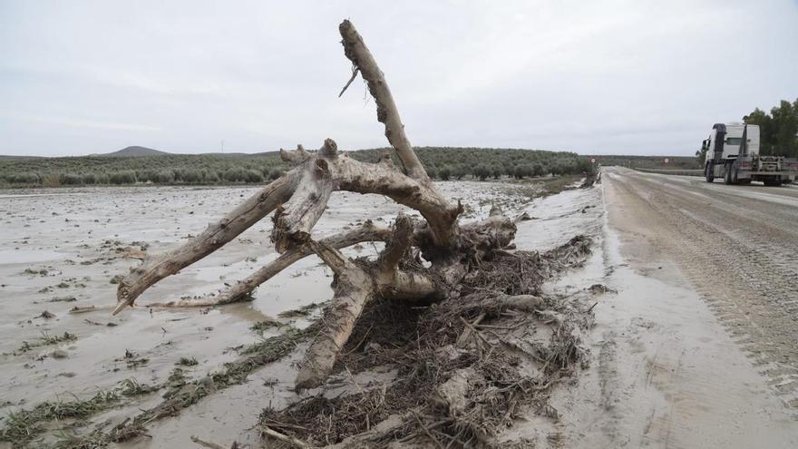 La borrasca provoca el corte de la N-432