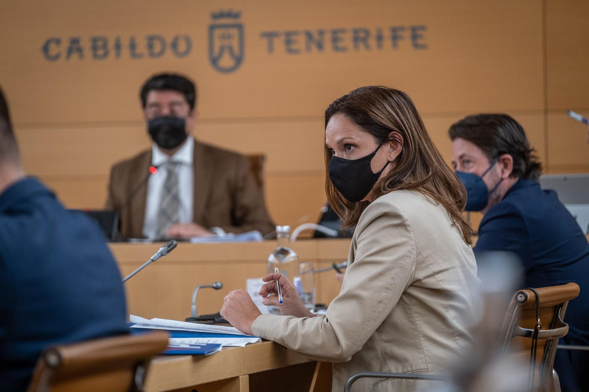 Pleno del Cabildo de Tenerife