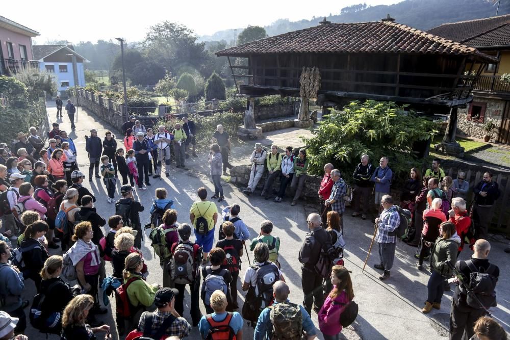 Ruta de las Santas Reliquias, entre Oviedo y el Monsacro