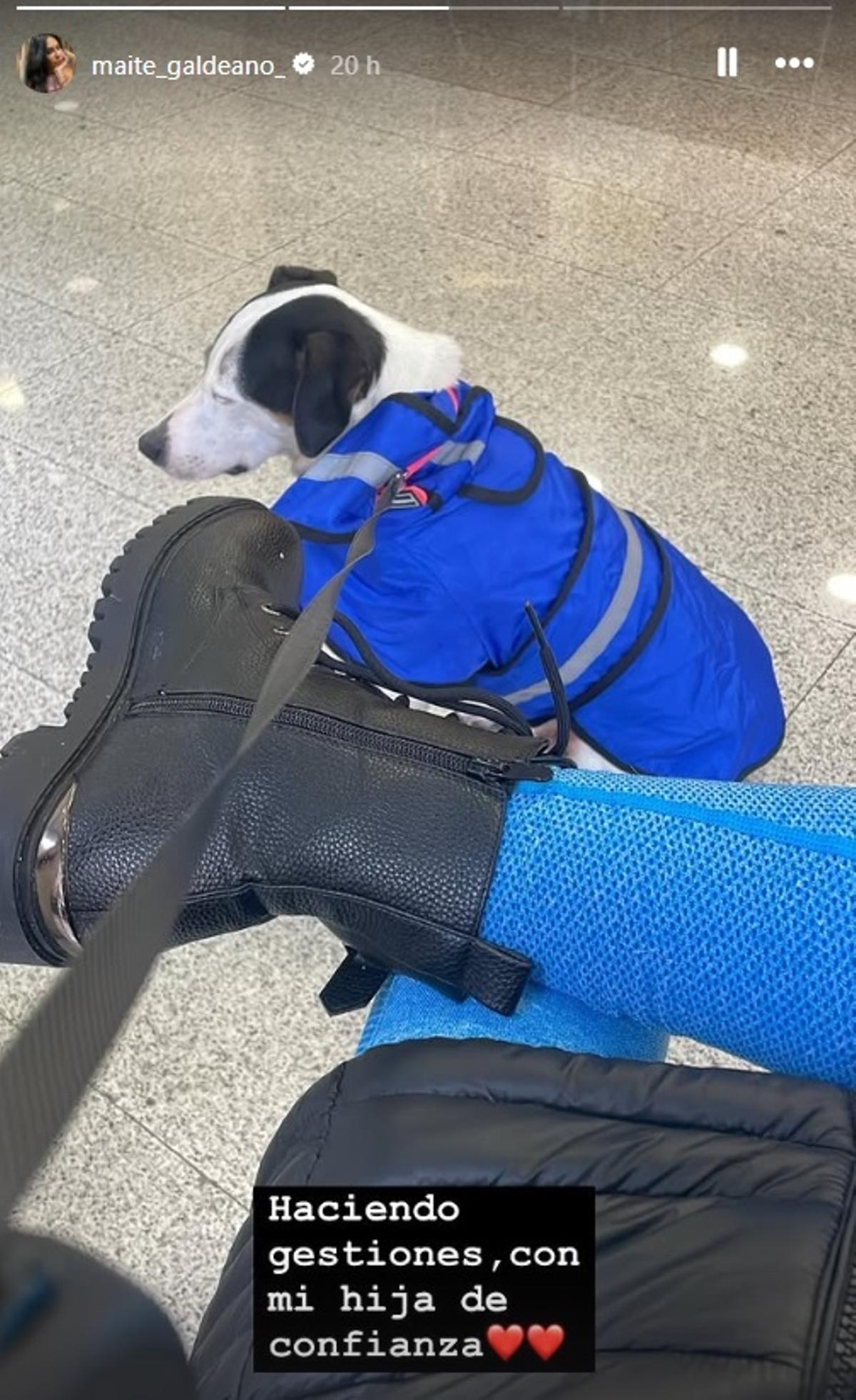 Storie de Maite Galdeano.