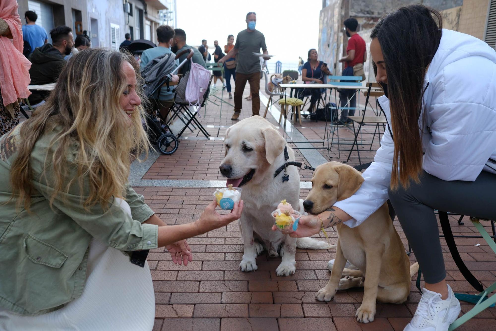 Una heladería de la Cícer vende entre sus productos helados aptos para perros