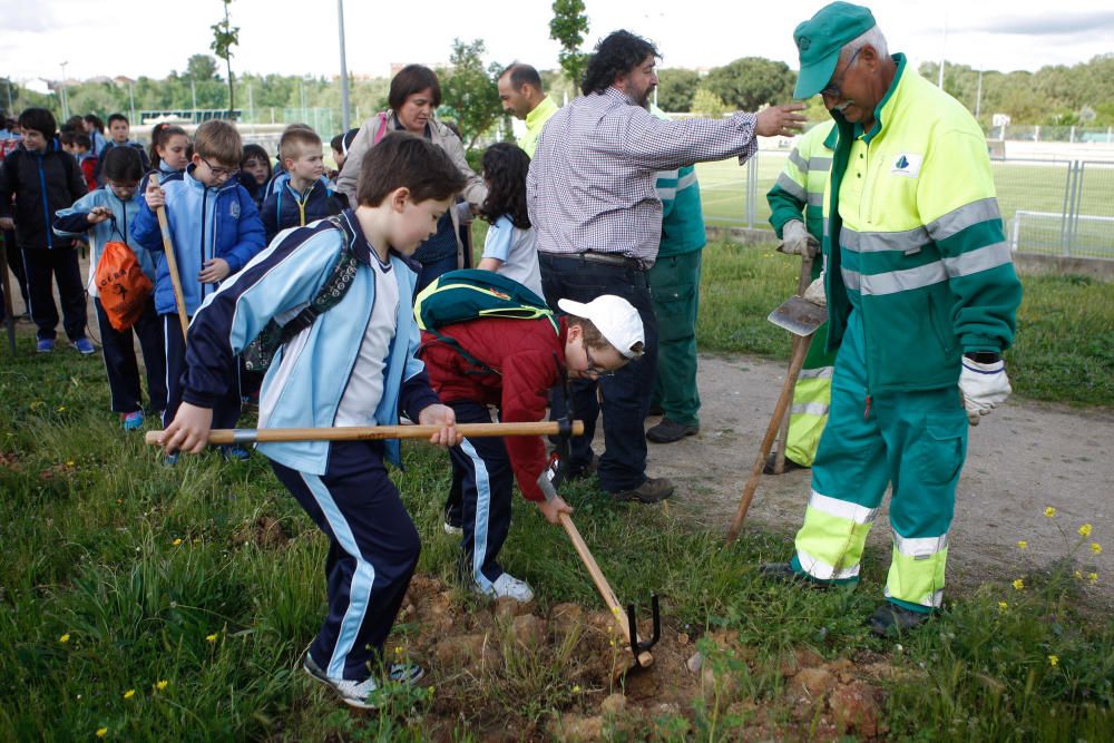 Celebración del Día Internacional de la Tierra