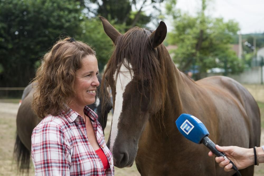 'Coaching' con caballos para empresarios