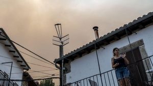 Extremadura contra el foc: "Estem en mans del vent"